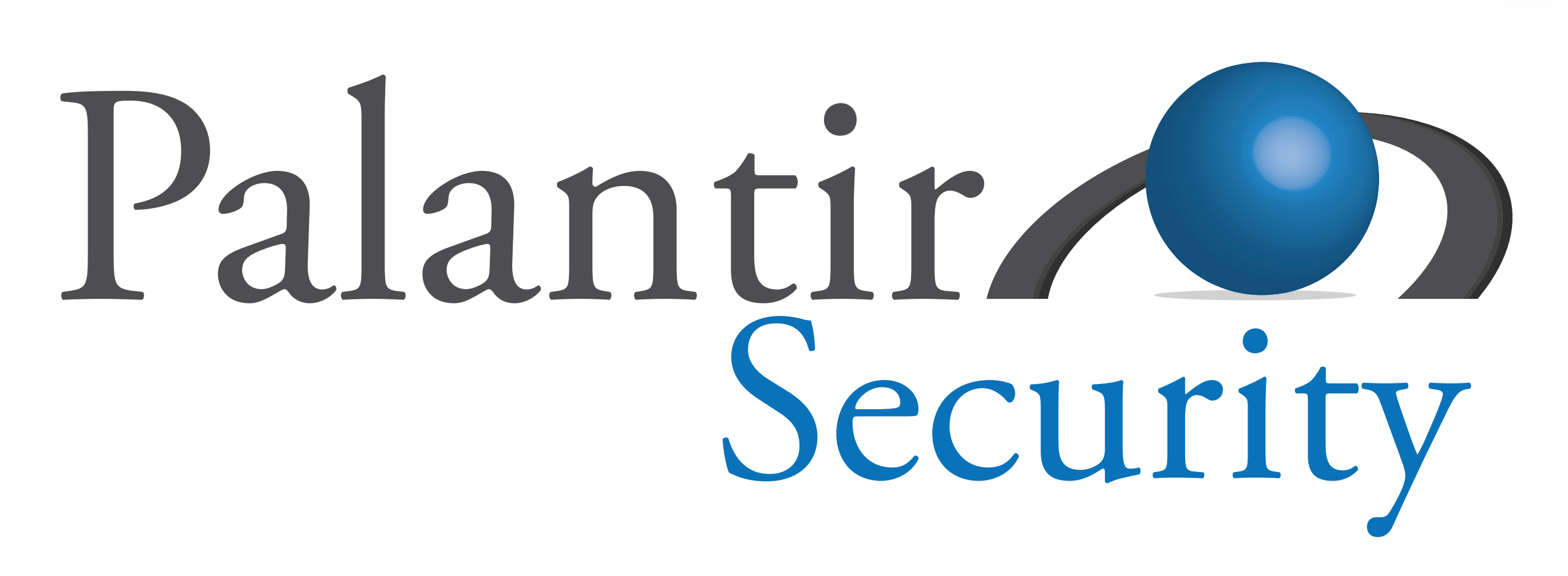 Palantir Security